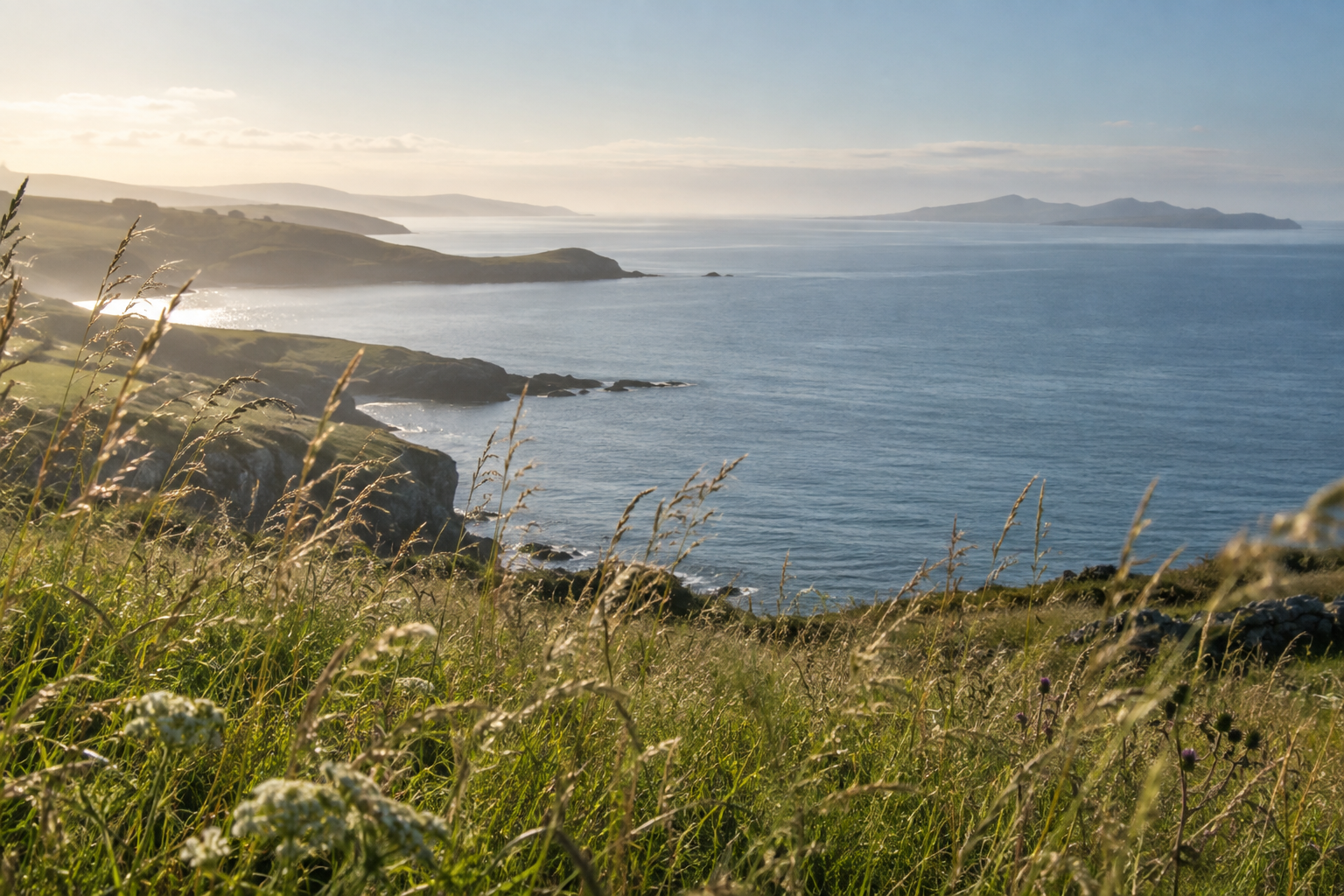 An imagined sunlit coastline framed by grasses